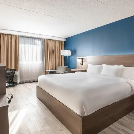 Comfort Suites Kingston Central