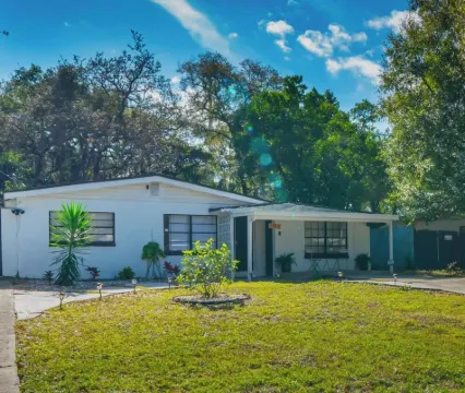 Cozy apartment next to Busch Gardens / USF