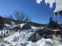 Spacious cozy bedroom with pvt. full bath. Walking distance to Mt Snow ski lifts