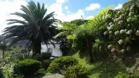 Villa Magia Verde-Relax in the nature of Furnas RRAL 1022