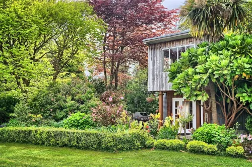 Quiet, relaxing cottage in a rural setting Hotels in Levin