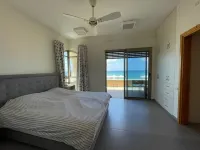 Sycamore on the Beach