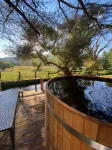 Mountain View: River Flowing past Hot Tub Overlooking Horse Meadows
