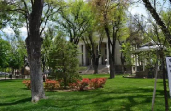 Cozy Pines Hideaway- BBQ, Fire-Pit, Zip-Line, and Fireplace