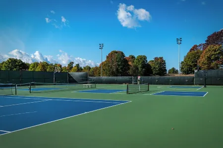 Charming Condo for Sun or SnowNear Lake Michigan & Ski Resorts3 King, 1 Queen