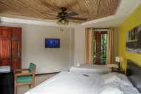 Pool, Sauna, Hot Tub, Fruit Trees, Lush Gardens Hotels in Atenas