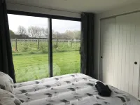 Brand New Cottage Close to Lake Karapiro Hotels in Karapiro