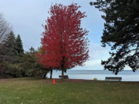 Luxury Apartment Living in an Elite Neighborhood