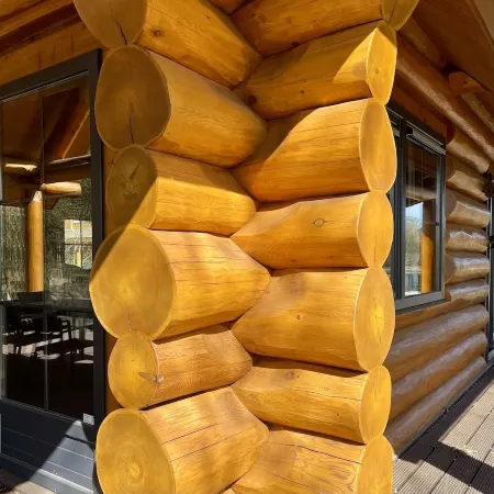 Unique wooden villa (5p) with sauna in Twente 1