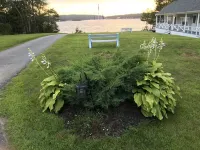 Two room condo with ocean view! First floor with a Handicap Bathroom!