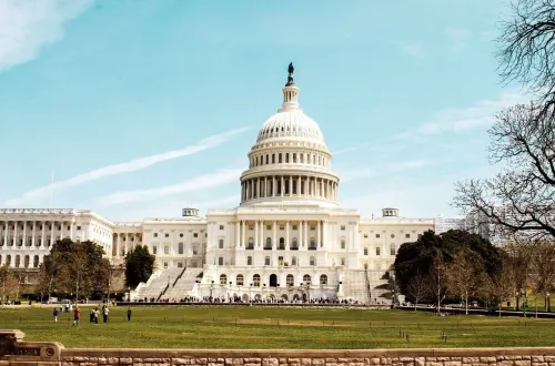 Dee's Lounge, Your Relaxation Oasis