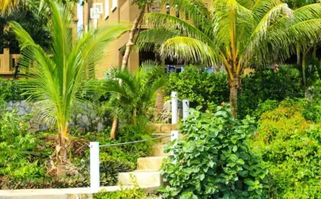 Mangrove Dock Paradise w/ pool & dock super close to beaches and diving