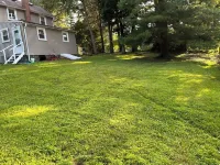 Entire 3 bedrooms/2 bathrooms fence yard, near Costco, Sam's