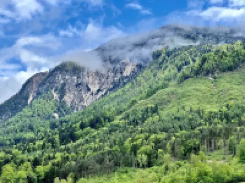 Wunderschöne, Moderne Ferienwohnung in Österreich mit dem Charme von 1750