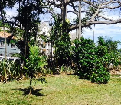 Lyndhurst House <br>Vacation  House Extraordinaire 아르다스트라 정원 & 야생동물 보호 센터 주변 호텔