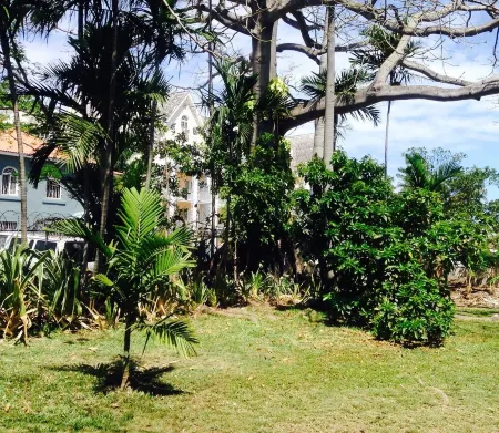 Lyndhurst House <br>Vacation  House Extraordinaire Отели рядом с достопримечательностью «Ардастра Гарденс & Уайлдлайф Консервейшен Сентр»