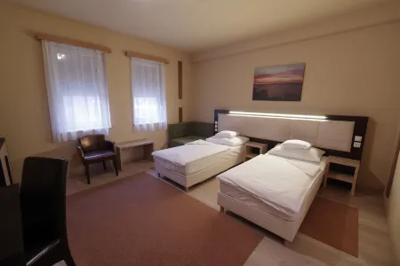 Hotel Vadászkürt Superior Отели в г. Секешфехервар