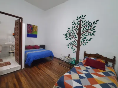 카사 데 라스 쿨투라스 산 마르코스  호텔