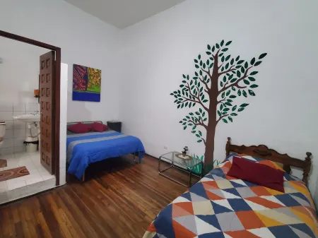 Casa de las Culturas San Marcos