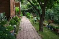 Naz Apartlari Cirali