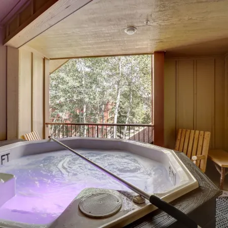 101 Streamside Lane Condo