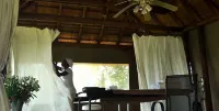 布哈拉小屋 - SPA