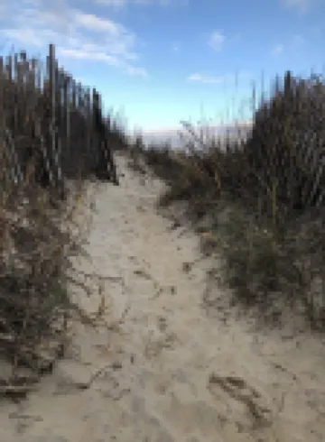 Blackbeard's Retreat - Historic and Pet Friendly 3 Bedroom Cottage by RedAwning