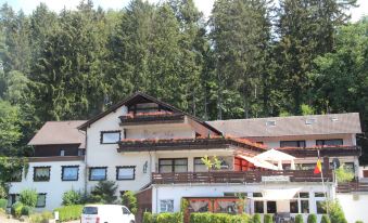 Hotel Finkenberg