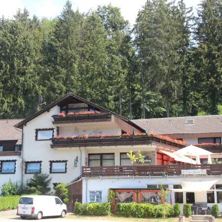Hotel Finkenberg