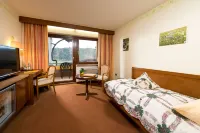 Silberkönig Schwarzwald Hotel & Restaurant Ringhotel Hotels near Elz