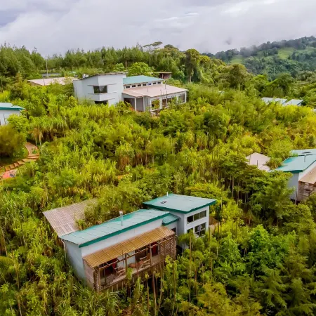 Kiho Gorilla Safari Lodge