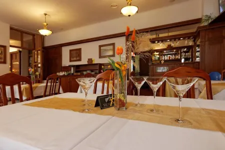 Hotel Maria Отели в г. Петровице у Карвини