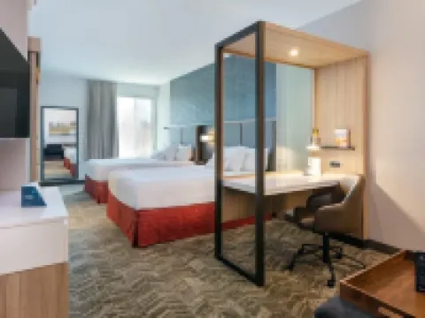 亞特蘭大蘇瓦尼約翰溪萬豪SpringHill Suites酒店 福賽斯縣酒店