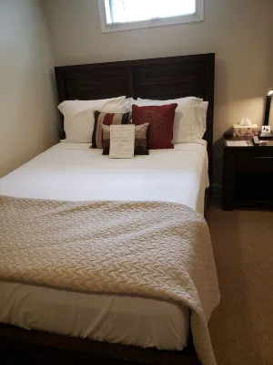 1-bedroom apartment in Albany with WiFi, AC