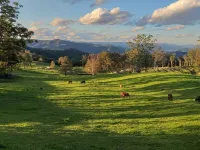 'Infinity Cottage'  - surrounded by orchards, pasture, bush and mountains Hotels in Wingham