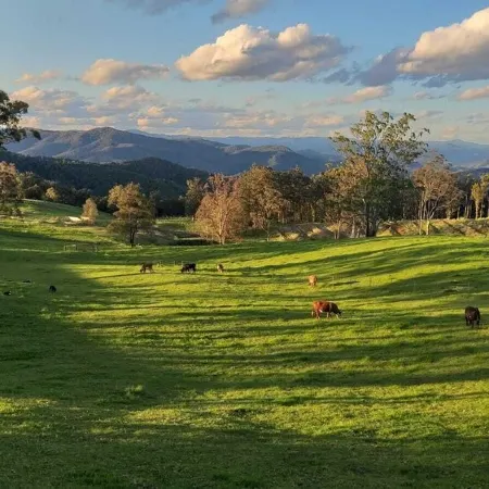 'Infinity Cottage' - surrounded by orchards, pasture, bush and mountains Отели в г. Уингем