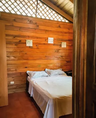 Whale Melody Marabi Bahia whale