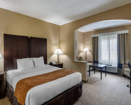 Comfort Suites the Colony - Plano West Hotels in The Colony