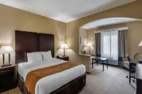 Comfort Suites the Colony - Plano West