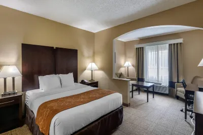 Comfort Suites the Colony - Plano West Hotels near Garden Center at The Home Depot