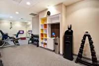 Home2 Suites by Hilton Smyrna Nashville - Træningscentre