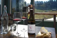 Charming Vineyard Retreat in Willamette Valley