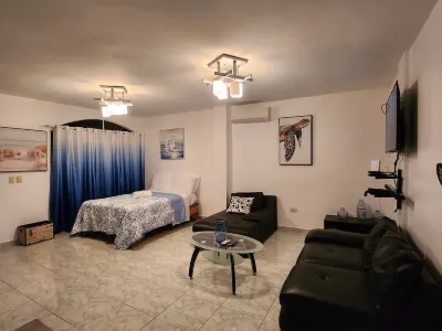 Beachfront Duplex Apt+Private Jacuzzi+2 QBed+2bath+AC+Wifi+HotWater+Pet Friendly Hotel a 