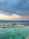 Manly Bunkhouse Hotels in Manly