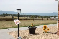 "FARM CHARM" w/Mtn Views~Fire Pit~Family Friendly