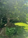 3-bedroom house in pleasant Ellsworth with AC, WiFi. Enjoy a cozy stay