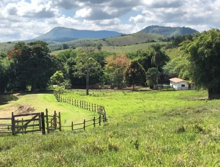 Cozy loft on a farm in Conservatória - we accept pets!