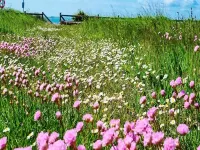 Holiday Home in Slagelse