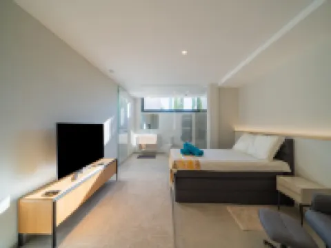 Luxury Villa Near Las Colinas