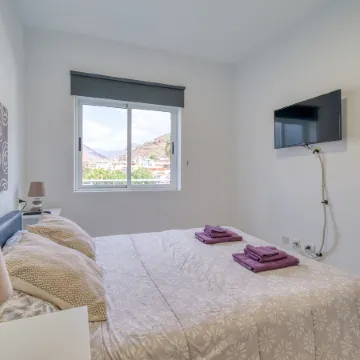 Apartment in Mogán Playa near the Beach